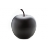 A smooth, matte black apple with a slender brown stem.