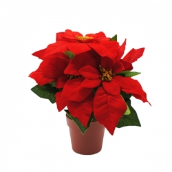Felrode poinsettia met groene bladeren in een eenvoudige bruine pot.