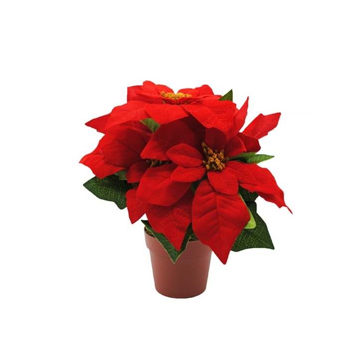Felrode poinsettia met groene bladeren in een eenvoudige bruine pot.