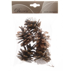 Een doorzichtige zak met verschillende dennenappels, bruin en natuurlijk, perfect voor decoratie.