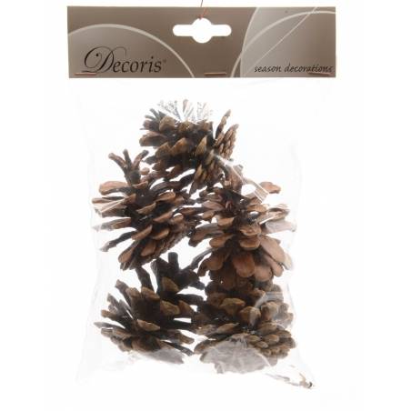 Een doorzichtige zak met verschillende dennenappels, bruin en natuurlijk, perfect voor decoratie.