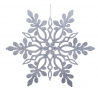 A sparkling silver snowflake with intricate, delicate patterns and a shimmering finish.