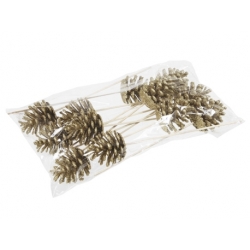 Een doorzichtige verpakking met natuurlijke decoratieve dennenappels op houten steeltjes.