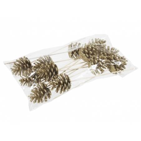 Een doorzichtige verpakking met natuurlijke decoratieve dennenappels op houten steeltjes.