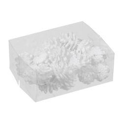 Witte dennenappels in een transparante doos, eenvoudig en elegant gepresenteerd.