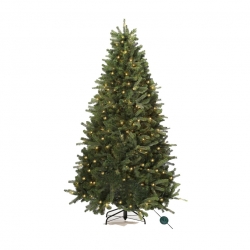 Groene kerstboom met zachte takken, verlicht door warme, witte lampjes.