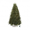 Groene kerstboom met zachte takken, verlicht door warme, witte lampjes.