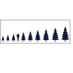 A scale comparison of various evergreen tree heights next to a human silhouette.