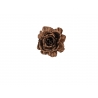 A delicate, glittering brown rose against a white background.