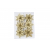 Glittering gold poinsettia flowers arranged in a clear plastic package.