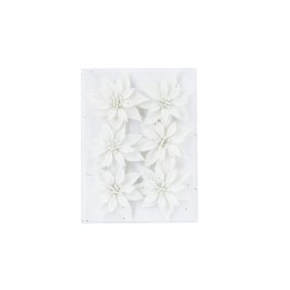Zes witte bloemen met een delicate uitstraling op een helder achtergrond.