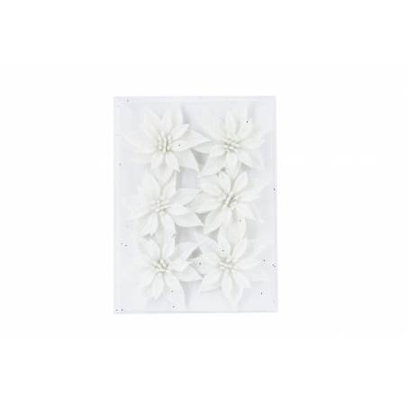 A textured white canvas adorned with six elegant, white flowers.