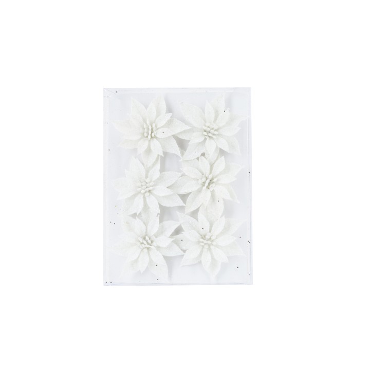 Zes witte bloemen met een delicate uitstraling op een helder achtergrond.
