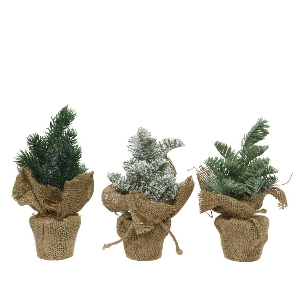 Three small potted evergreen trees, wrapped in rustic burlap, with varying frosted green hues.