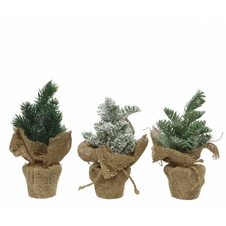 Three small potted evergreen trees, wrapped in rustic burlap, with varying frosted green hues. Three small potted evergreen trees, wrapped in rustic burlap, with varying frosted green hues.