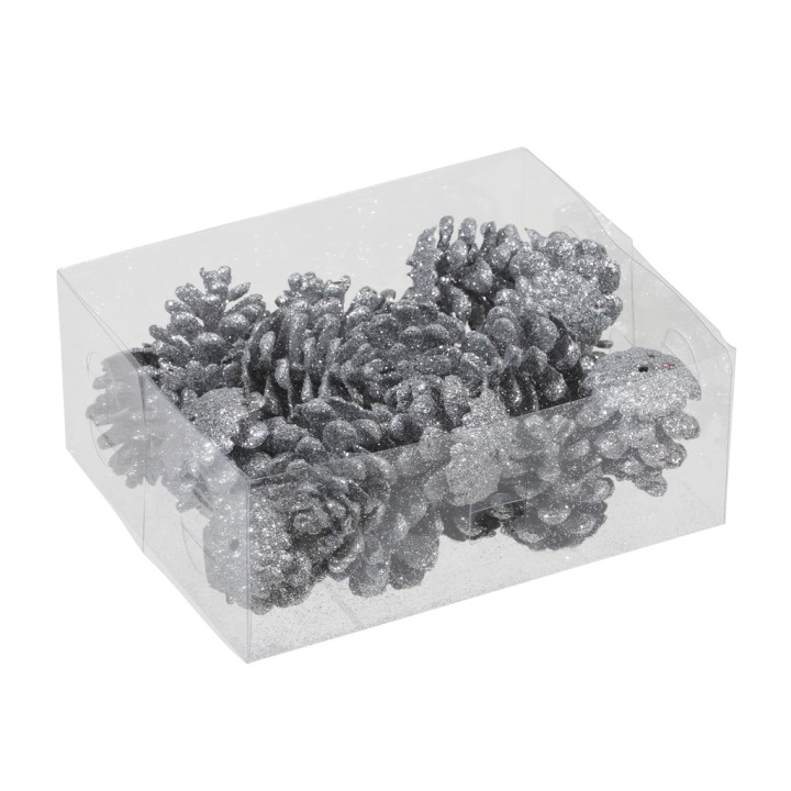 Glitterschitterende dennenappels in een doorzichtige doos, een feestelijke en decoratieve uitstra...