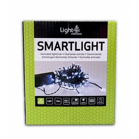 Verpakking van een lichtslinger met groene accenten en duidelijke tekst, geschikt voor binnen en ...