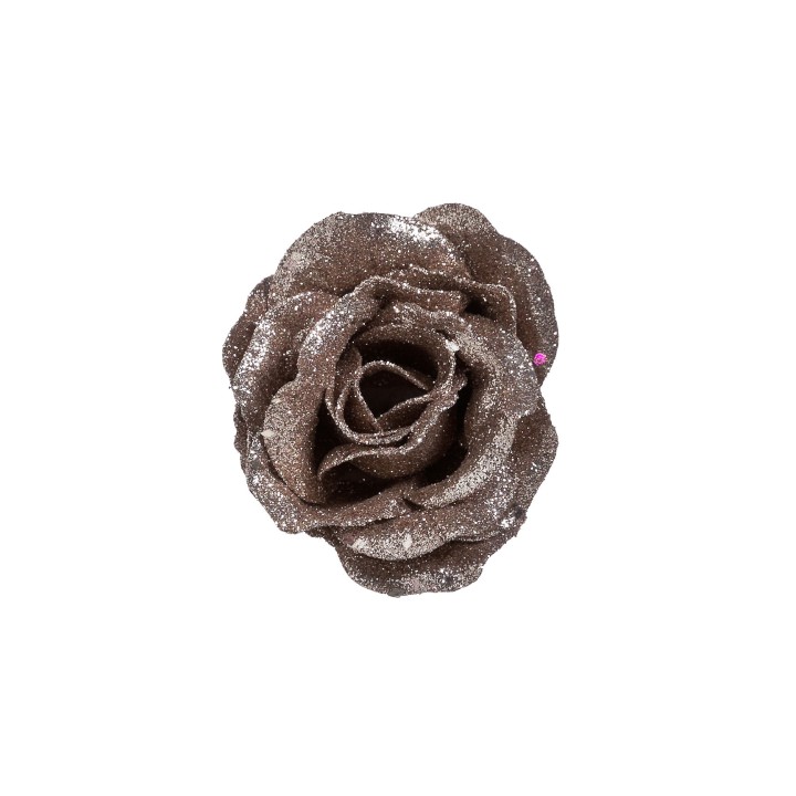 Glinsterende bruine roos met een gedetailleerde, volumineuze bloemvorm op een witte achtergrond.