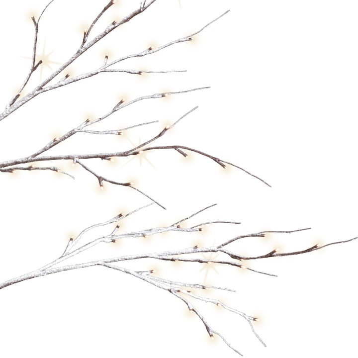 Elegante takken met zachte, warme lichtjes tegen een witte achtergrond. Minimalistische stijl.