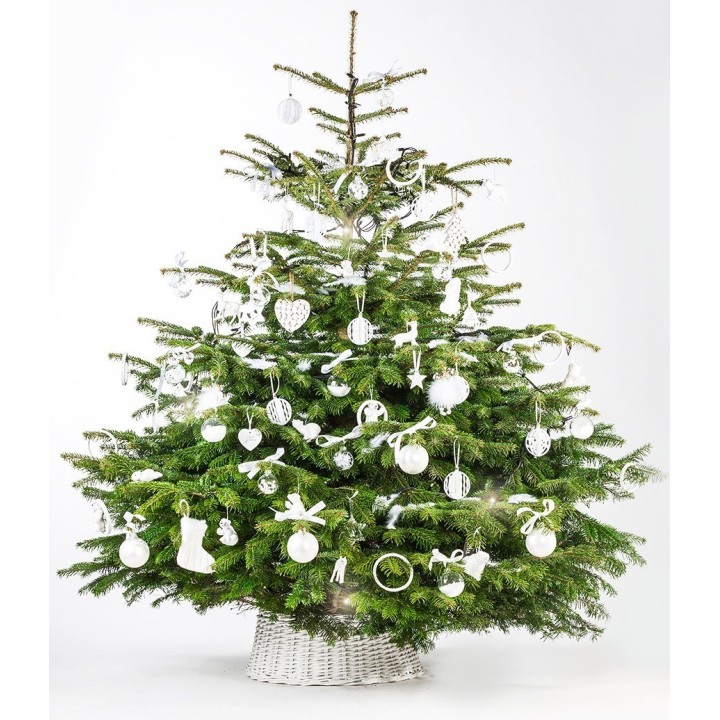 Een groene kerstboom versierd met witte ballen en strikken, in een natuurlijke, feestelijke stijl.