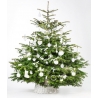 A lush green Christmas tree adorned with white ornaments and ribbons, set in a woven basket.