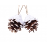 Two snow-dusted pine cones hanging from twine against a white background.