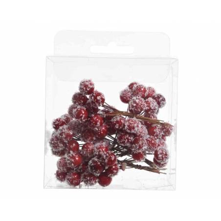Frosted red berries clustered together in a clear packaging.