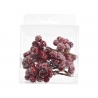 Frosted red berries clustered together in a clear packaging.