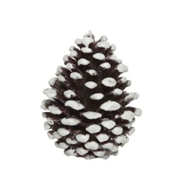Een dennenappel met een donkere bruinachtige kleur, bedekt met witte sneeuwachtige vlekken.