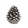 A dark brown pinecone dusted with white, resembling snow on its textured scales.
