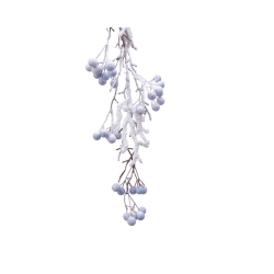 Frost-covered branches with pale blue berries against a bright white background.