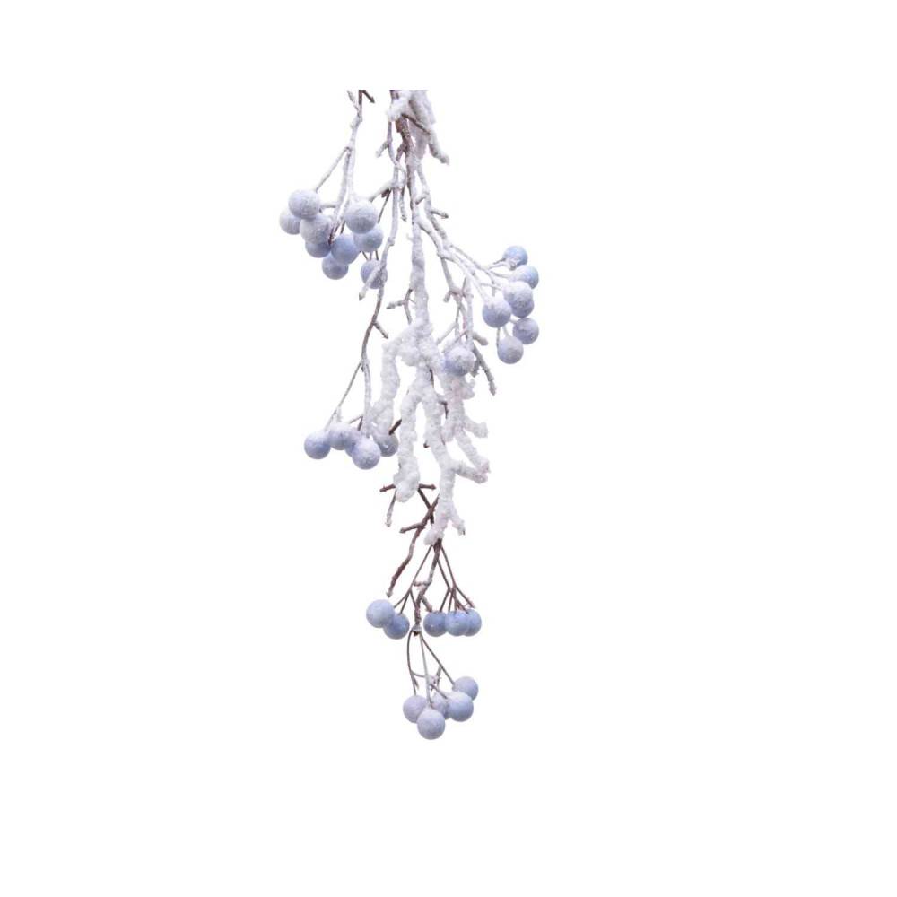 Frost-covered branches with pale blue berries against a bright white background.