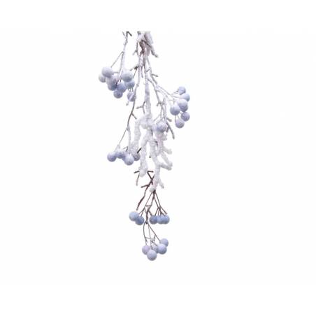 Frost-covered branches with pale blue berries against a bright white background.