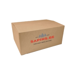 A simple brown cardboard box with "SAPINS.BE" printed in red.