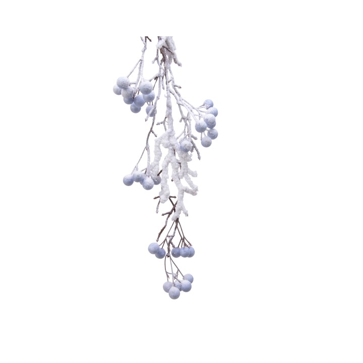 Tak met ijzige, blauwe bessen en een witte, frostachtige laag tegen een heldere achtergrond.
