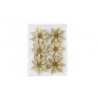 Six shimmering gold flower embellishments arranged on a clear backing.