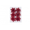 Six vibrant red poinsettia flowers arranged on a clear background, showcasing festive sparkle.