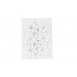 A textured white background adorned with delicate white flowers and subtle sparkles.