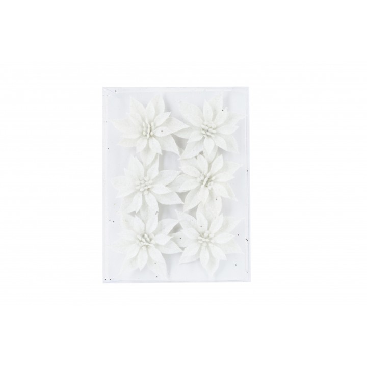 Zes witte bloemen met een delicate uitstraling op een heldere achtergrond.
