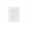 A textured white background featuring six delicate, white floral arrangements.