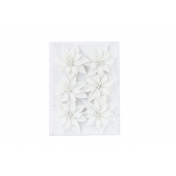 A textured white background features delicate, layered white flowers arranged symmetrically.