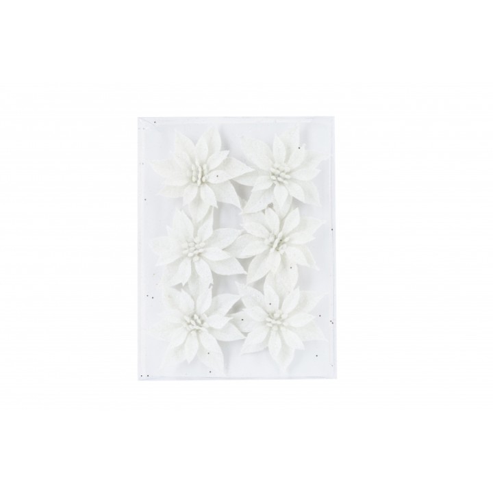 Zes witte bloemen met delicate bloemblaadjes op een lichte achtergrond.
