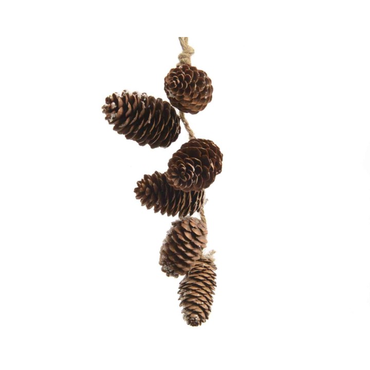 Zes dennenappels aan een jute touw, natuurlijke bruintinten op een lichte achtergrond.