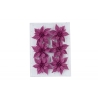 A clear sheet with six glittery pink flowers arranged symmetrically.