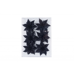 Six black, textured flower shapes arranged on a clear background with speckled accents.