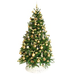 Een groene kerstboom vol gouden ballen en versieringen in een witte mand.