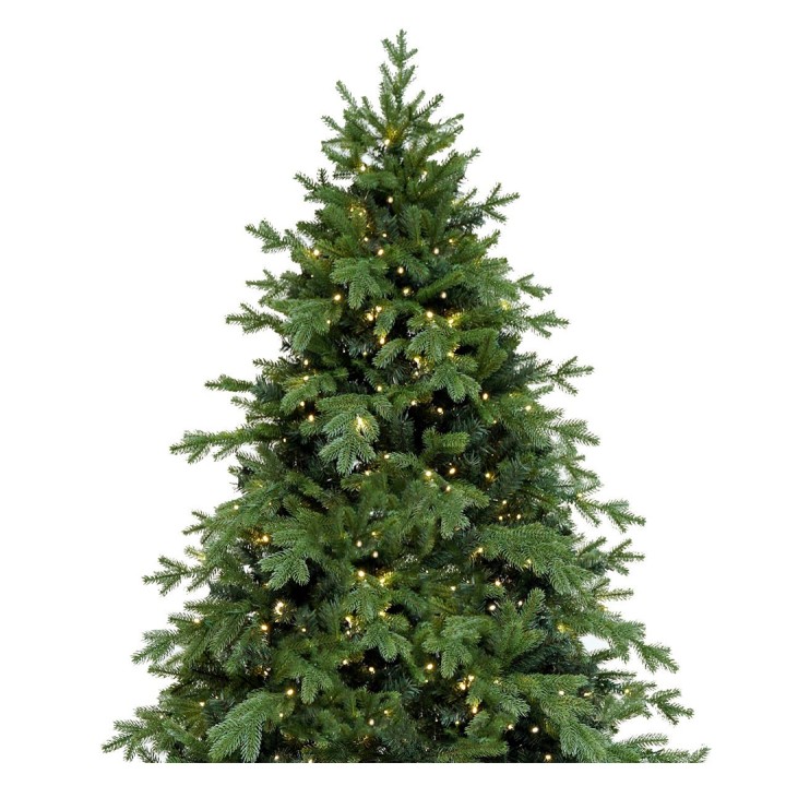 Groene kerstboom met een dicht bladerdek, versierd met warme, fonkelende lichtjes.