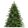 A lush green Christmas tree adorned with sparkling warm white lights.