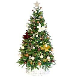 Groene kerstboom versierd met gouden, bronzen en witte ornamenten, met een stertopper.