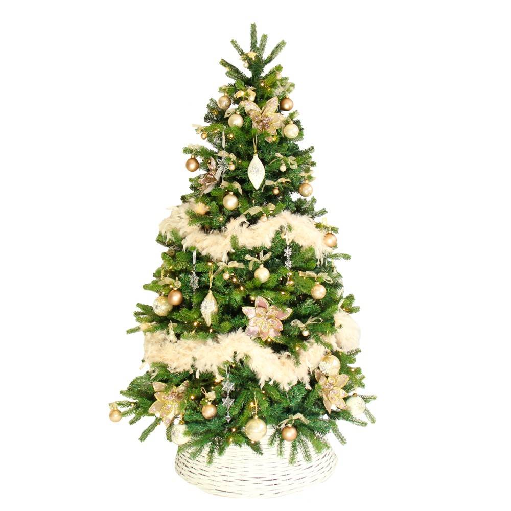 A lush green Christmas tree adorned with golden ornaments and delicate cream ribbons.